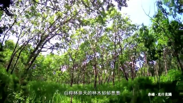 山水赤峰 | 乌兰布统