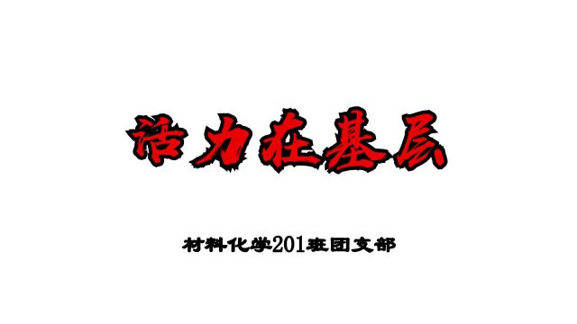 仲恺农业工程学院化学化工学院材料化学专业201班团支部