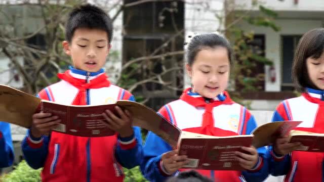 【我们的新时代】阳朔县实验小学:立德树人,五育并举,续写优学在阳朔的教育发展新篇章