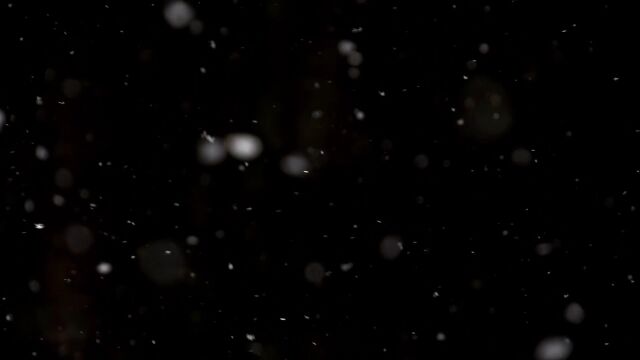 冬天下雪雪花飘落合成特效13