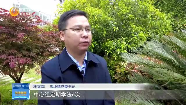 党委(党组)书记谈法治|店垭镇:多措并举 持续深化“法治店垭”建设