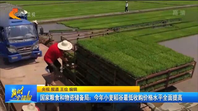 国家粮食和物资储备局:今年小麦稻谷最低收购价格水平全面提高