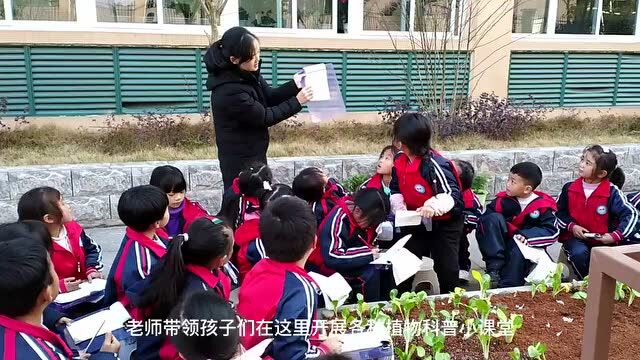 教育部网站||正光小学:科学做好幼小衔接 助力儿童快乐成长