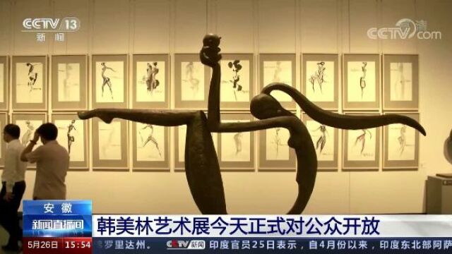 安徽:韩美林艺术展今天正式对公众开放