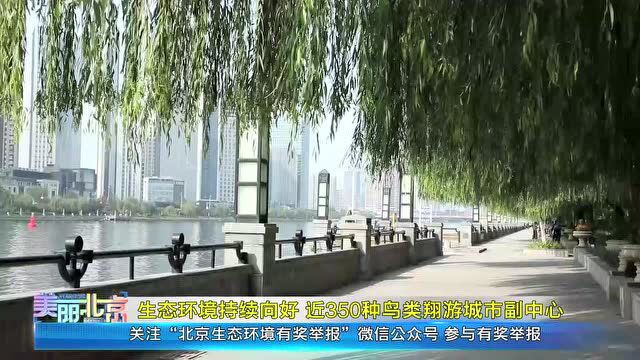 生态环境持续向好 近350种鸟类翔游城市副中心