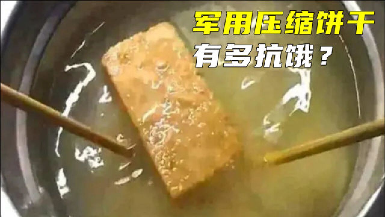 军用压缩饼干为什么这么抗饿?把它放入水中,有趣的现象发生了