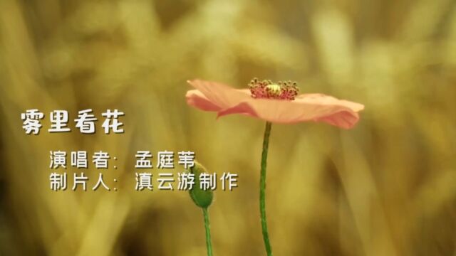 《雾里看花》孟庭苇演唱,云游制作.经典老歌,乐曲悠扬动听,歌词含义深远!