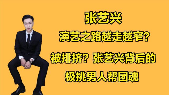 被群嘲和排挤三缺艺,如今成为娱乐公司老板张艺兴背后的极挑团魂