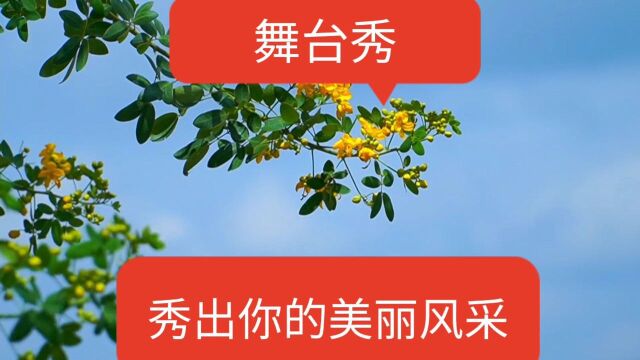 《舞台走秀》秀出你的美丽风采.尽情的展示吧