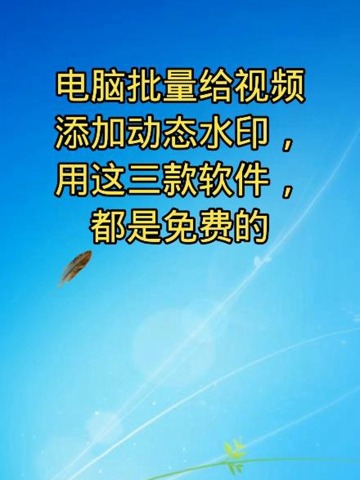 s360x480?max_age=7776000