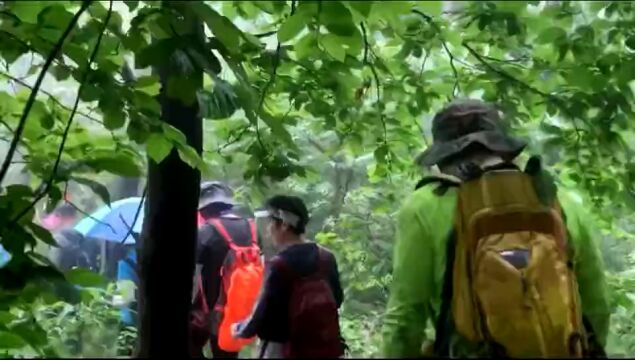 雨行爬山,自虐还是真爱?|记天台奇石阵穿越