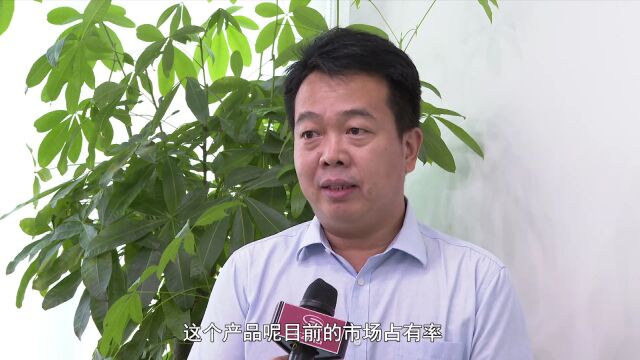 盐田:推动“5+3+1”产业集群落地 助力结构蝶变升级