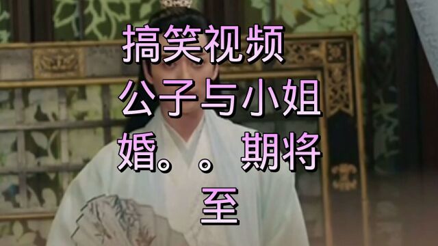 搞笑视频快来看看吧