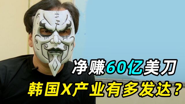 韩国X产业有多发达?120万工作者净赚60亿美刀,还提供跨国服务!