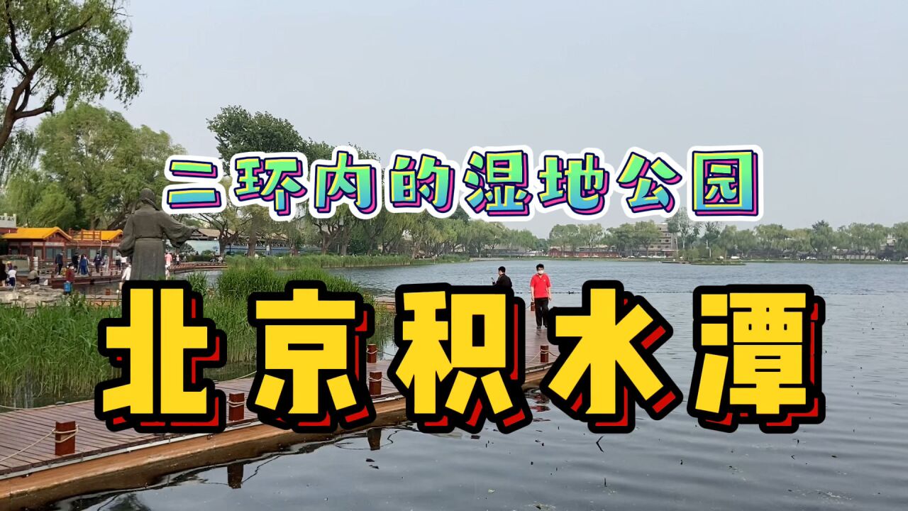 北京二环还有湿地公园?打卡小众景点积水潭!颜值高本地人才知道