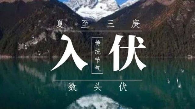 入伏吃三汤,健脾、养心又祛湿,一年少生病!为家人收藏!