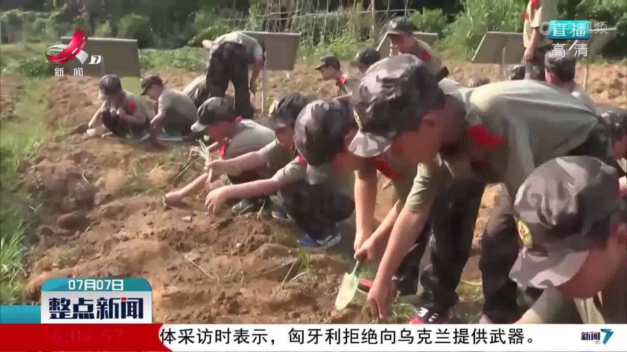 军事夏令营 让暑期孩子热血一“夏”