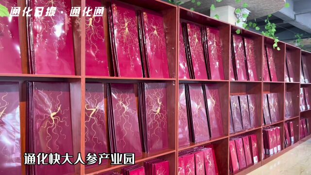 【最美人参花】变资源优势为经济发展优势——让“中国人参之乡”品牌享誉大江南北