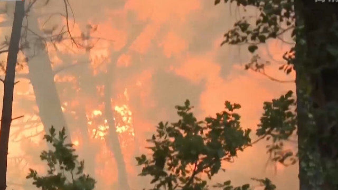 欧洲多国山火持续肆虐 葡萄牙火灾已致人员死伤