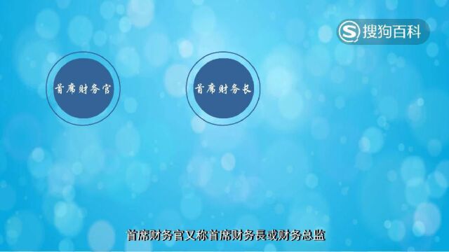 立懂百科带你了解首席财务官