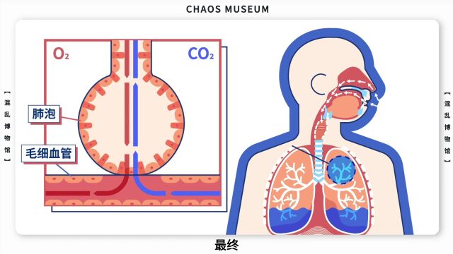 一游乐场发生事故 致1人死亡7人送医