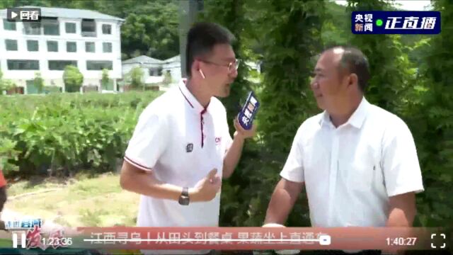 “寻速办、乌差别” 央视点赞寻乌营商环境!