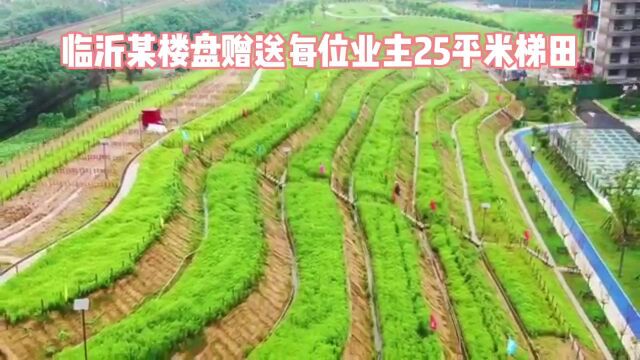 某楼盘为业主赠送25平米菜园,或将引领临沂楼市交房新标杆