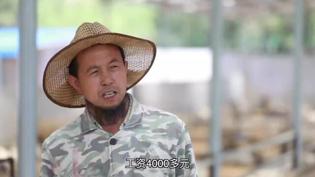 牛羊产业“加速度” 乡村振兴新动能