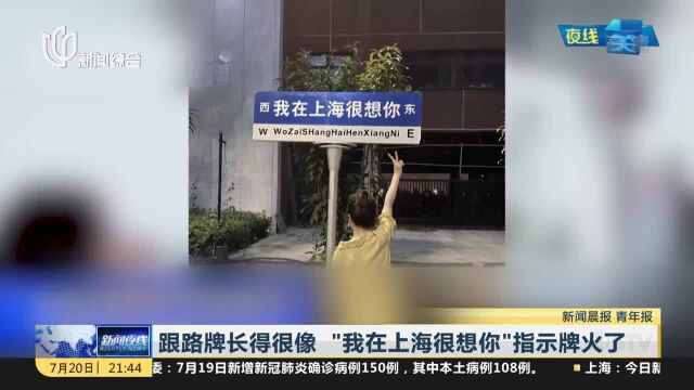 跟路牌长得很像 “我在上海很想你”指示牌火了