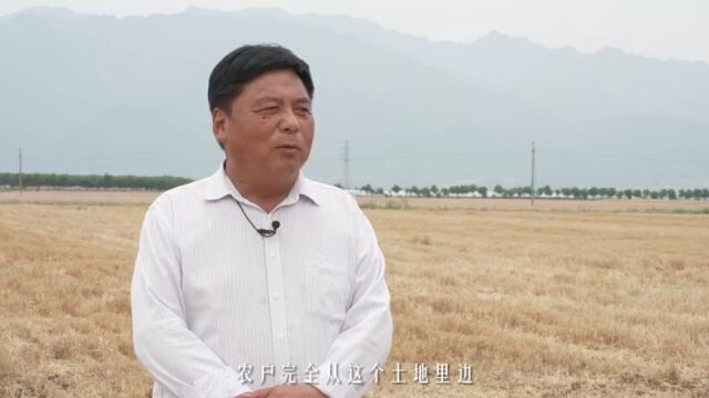 一个农民的春夏秋冬之粮满仓