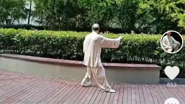 [单式范练]传统杨氏85式太极拳(13)倒撵猴