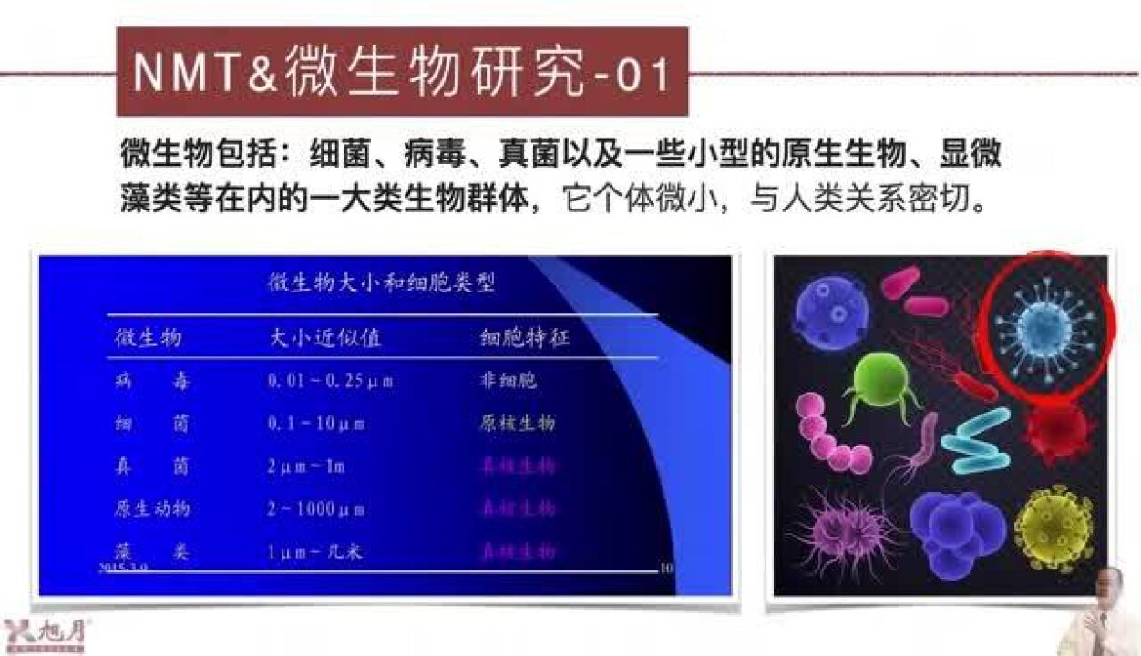 NMT与微生物研究(06)人肺微生物组(2)又是微环境…