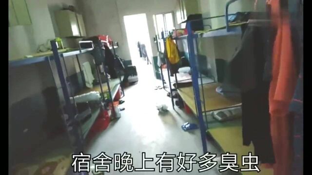 广东东莞:来东莞玩具厂打工第一天,被分到16人一间的宿舍,这味道真酸爽