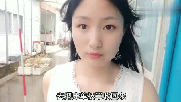 东莞打工妹:23岁打工妹穿上连衣裙,美丽又大方,领导夸的我都害羞了