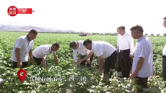 习近平在新疆石河子市考察调研