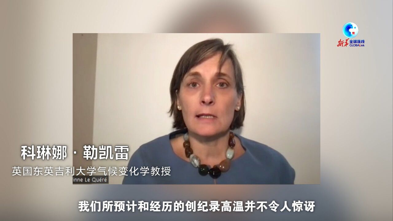 英国东英吉利大学气候变化学教授科琳娜ⷥ‹’凯雷:气候变化比社会行动来得更快