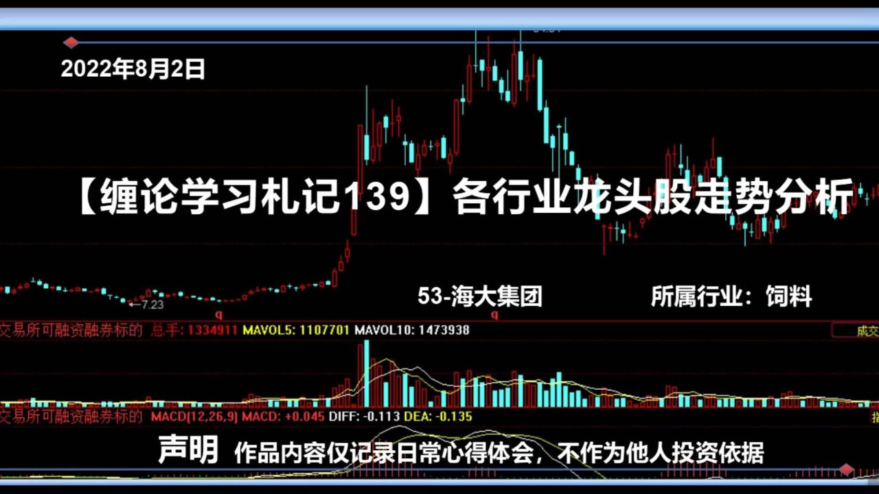 【缠论学习札记139】各行业龙头股走势分析之海大集团