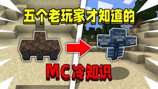 5个老玩家才知道的MC冷知识!最后一个可以拥有无限的资源!