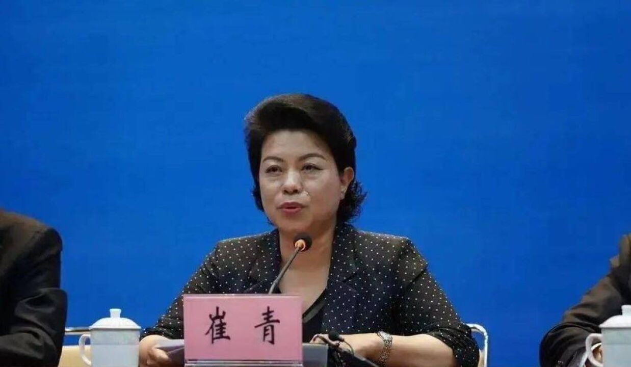 广东省湛江市原副市长崔青接受纪律审查和监察