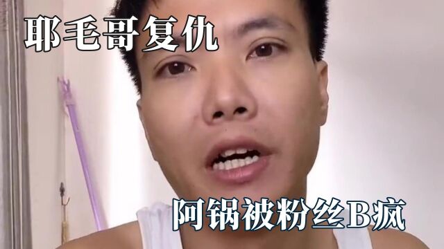 腋毛哥的复仇路:粉丝与美颜搞起相爱相杀,奇葩问题气坏阿锅