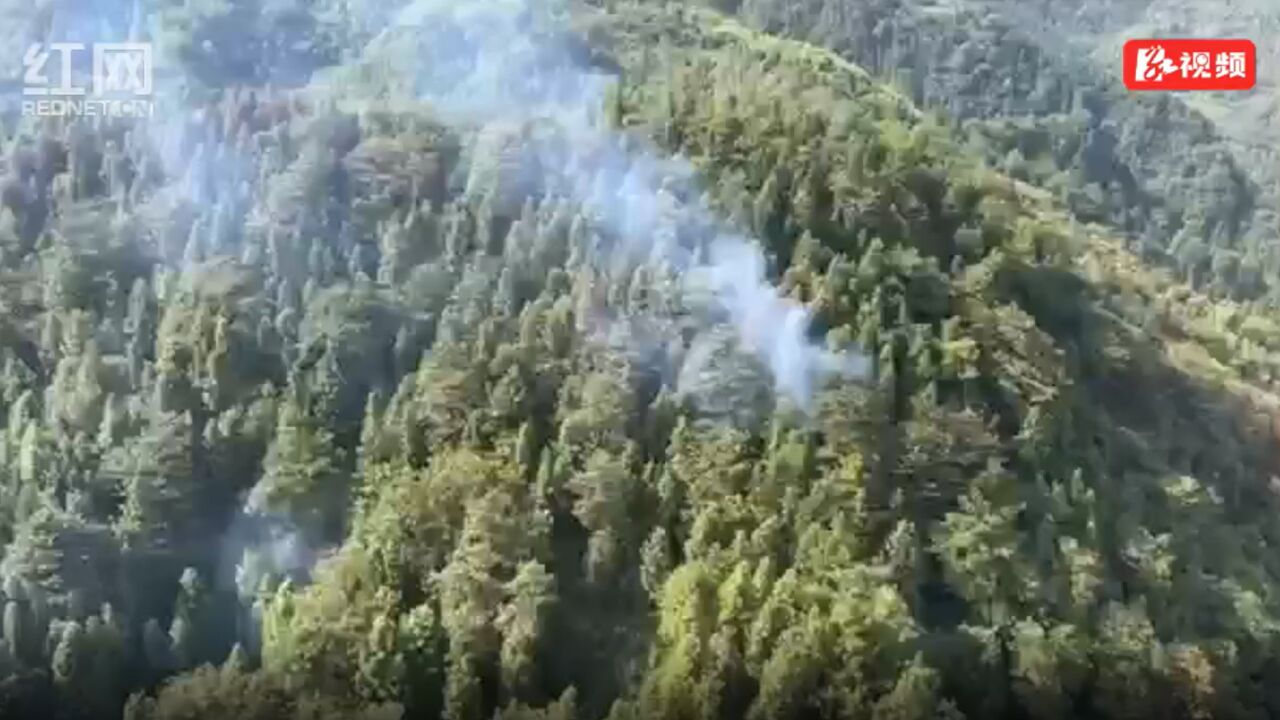 闻令而动!湘江集团空中救援跨市扑灭山火