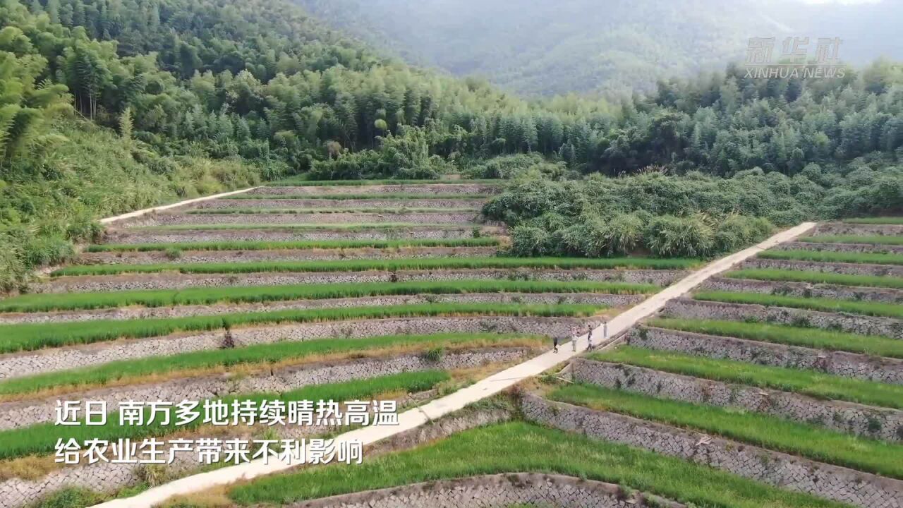 新华全媒+|南方各地抗旱保秋收 保障生产生活用水