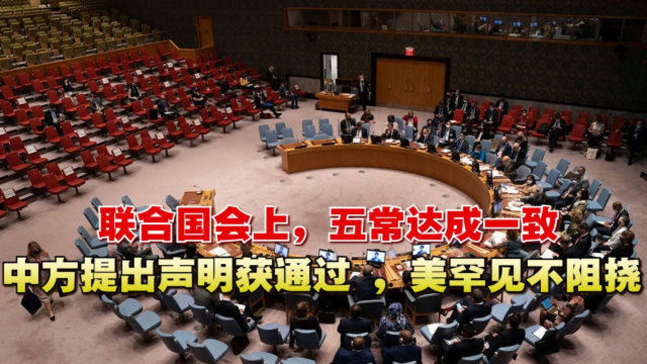 联合国会上,五常达成一致,中方提出声明获通过 ,美罕见不阻挠