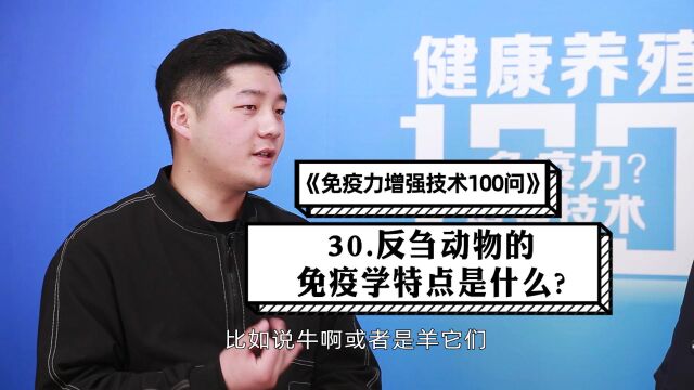 免疫力增强技术100问第三十期:反刍动物的免疫学特点是什么?