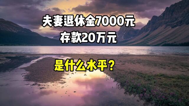 夫妻退休金7000元,存款20万元,是什么水平?