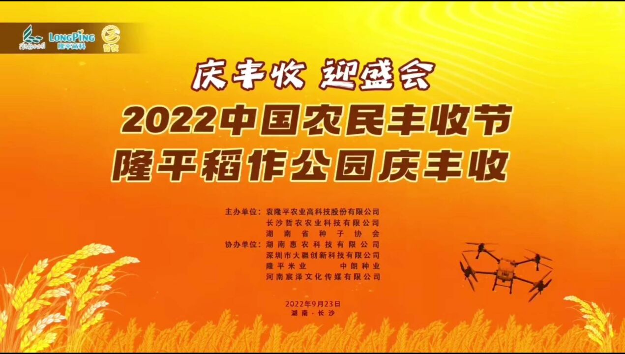 比赛割稻、体验打谷、评选“明星”稻种……他们在稻花香里纪念您,以丰收!