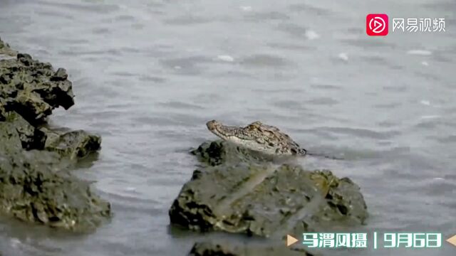 今日简讯:韩再向美供地以部署＂萨德＂ 专家:中韩关系或入＂深渊＂