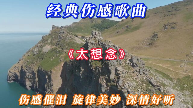 经典伤感歌曲《太想念》伤感催泪 旋律美妙 深情好听