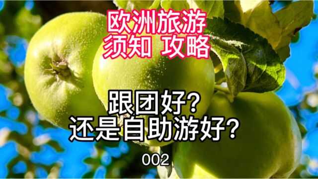 欧洲旅游须知攻略002 跟团好还是自助游好?