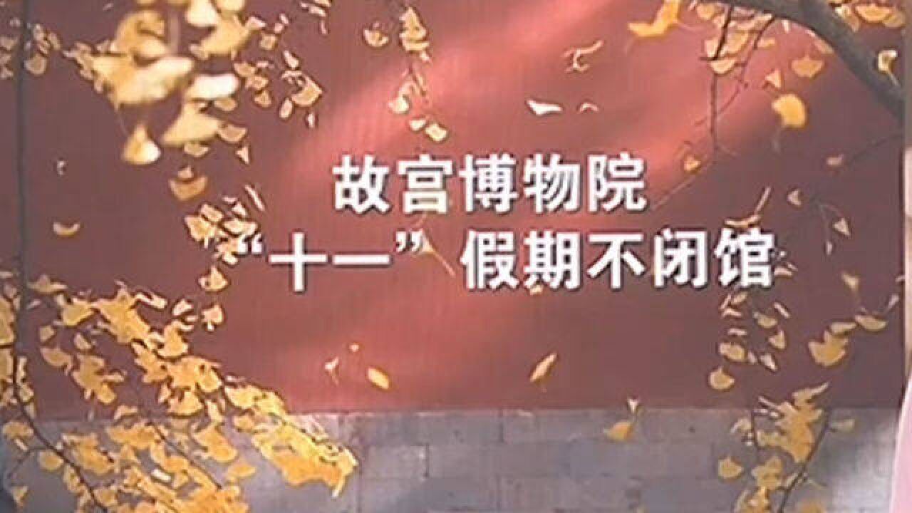 国庆假期故宫不闭馆,携带身份证原件可快速入院参观